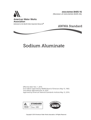 ANSI AWWA B405-16.pdf