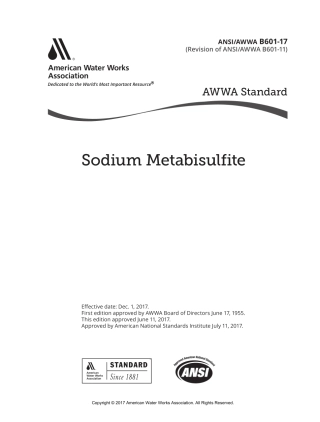 ANSI AWWA B601-17.pdf