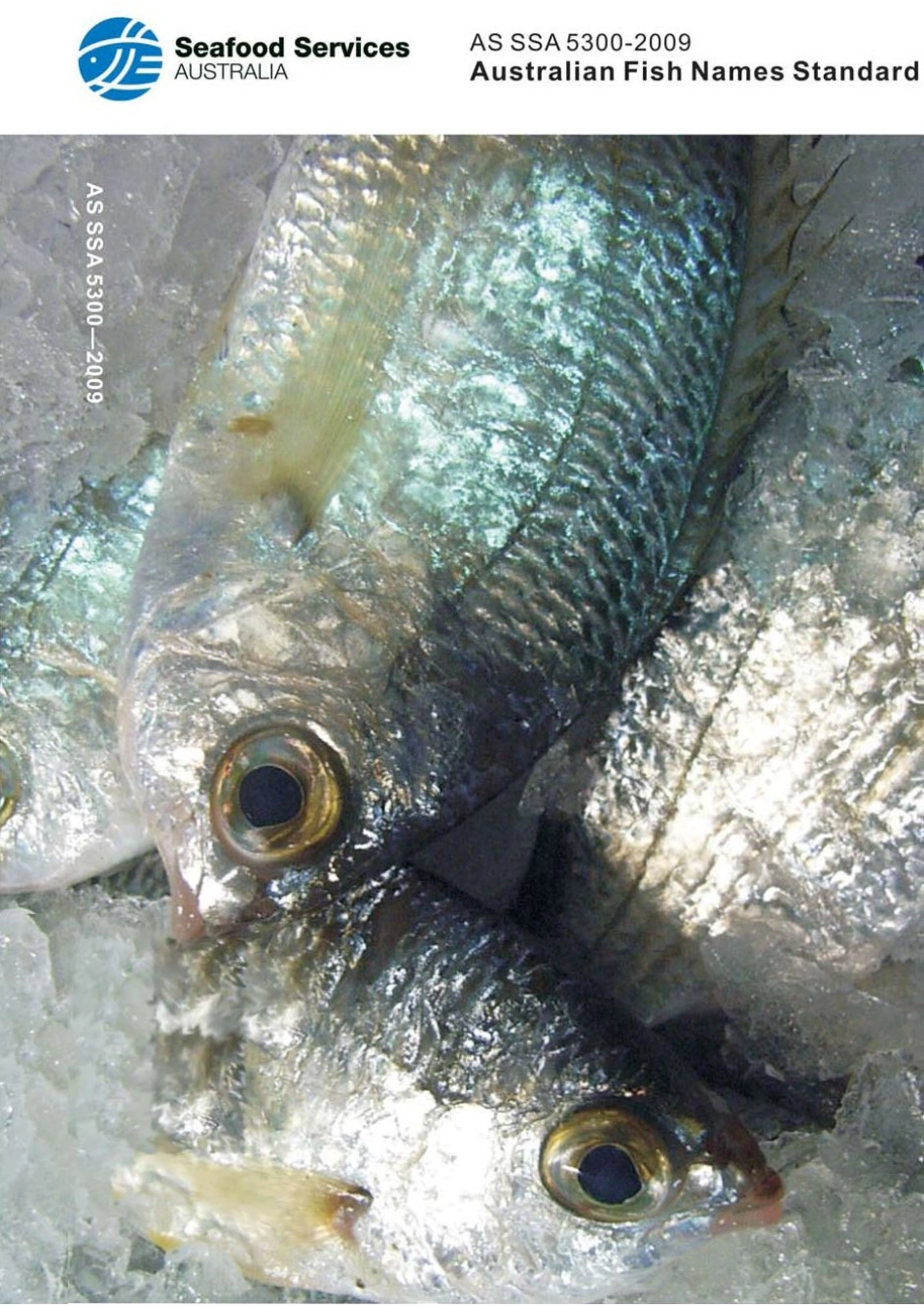 AS SSA 5300-2009.pdf_第1页