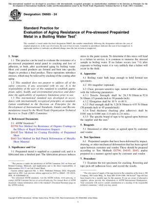 ASTM D6665 - 24.pdf