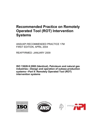 ANSI API RP 17M-2004 (2009).pdf