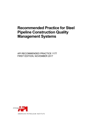 API RP 1177-2017.pdf