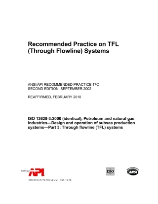 ANSI API RP 17C-2002 (2010).pdf