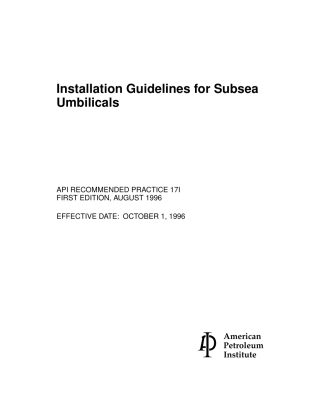 API RP 17I-1996.pdf