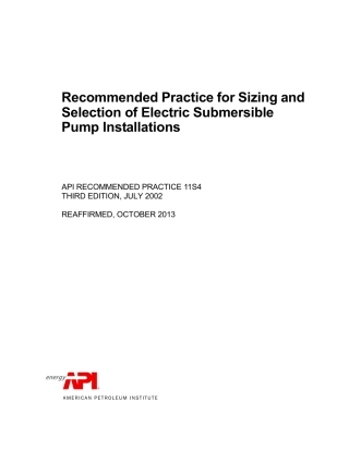 API RP 11S4-2002 (2013).pdf