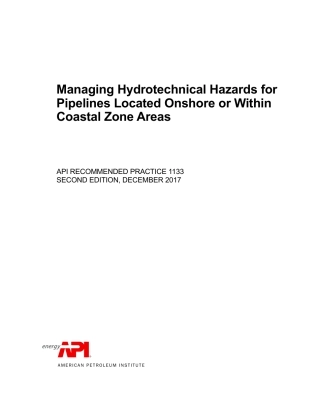 API RP 1133-2017.pdf