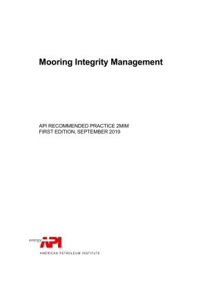 API RP 2MIM-2019.pdf