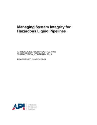 API RP 1160-2019 (2024).pdf