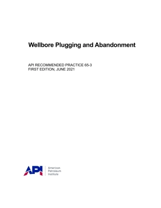 API RP 65-3-2021.pdf