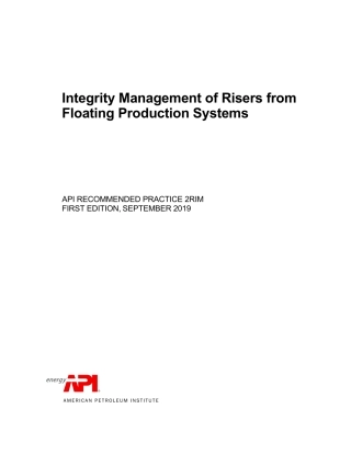 API RP 2RIM-2019.pdf