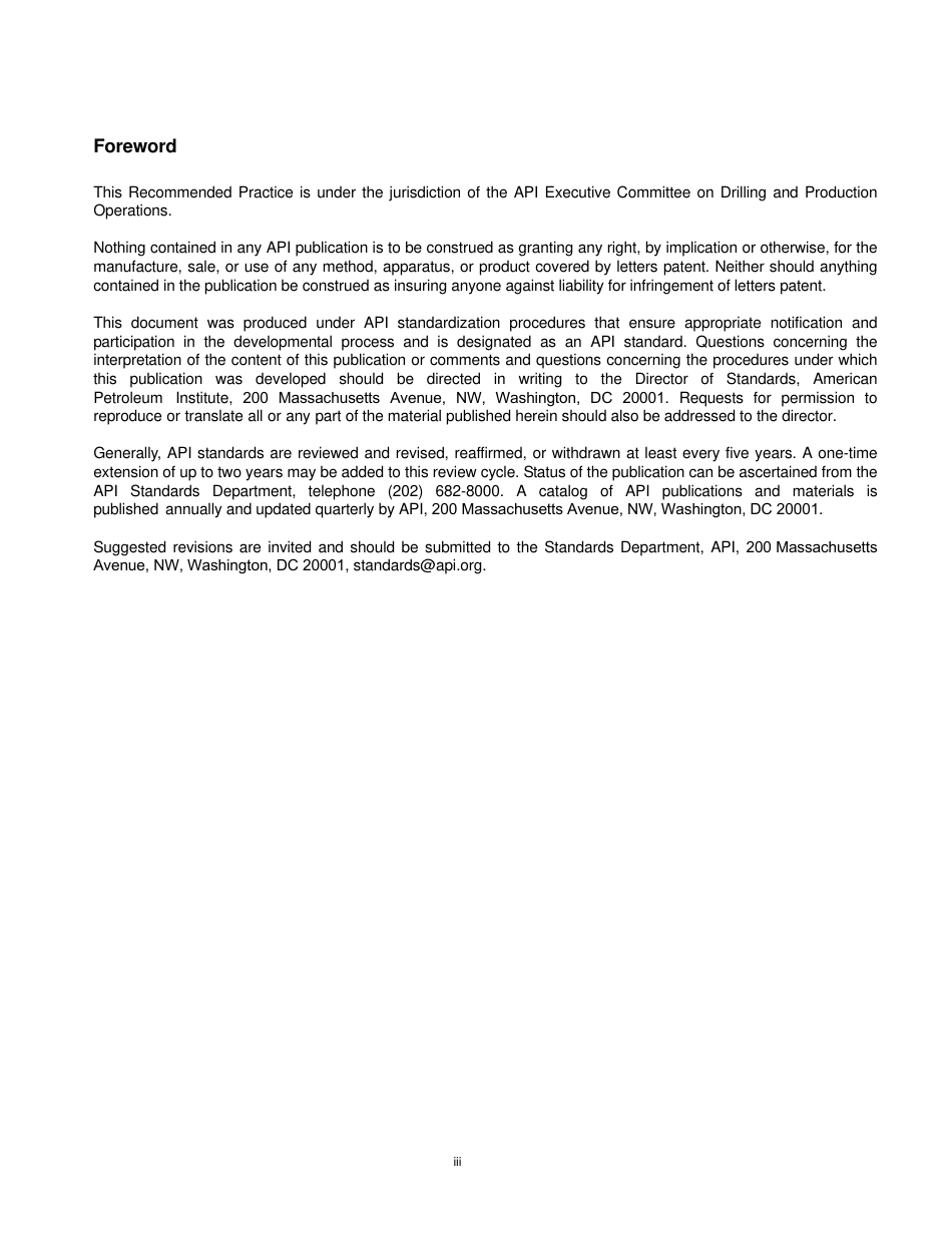 API RP 87-2007 (2022).pdf_第3页