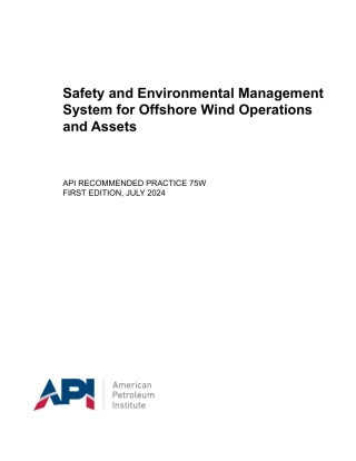 API RP 75W-2024.pdf