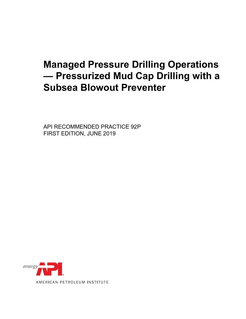 API RP 92P-2019.pdf_第1页