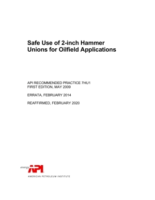 API RP 7HU1-2009 (2020).pdf