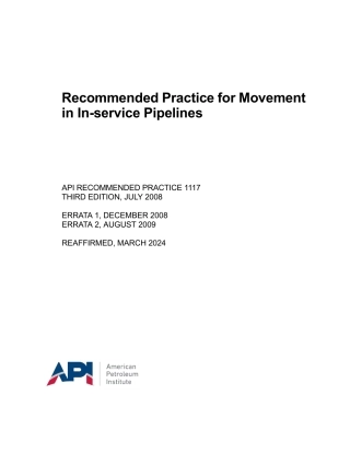 API RP 1117-2008 (2024).pdf