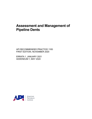 API RP 1183-2020 (2024).pdf
