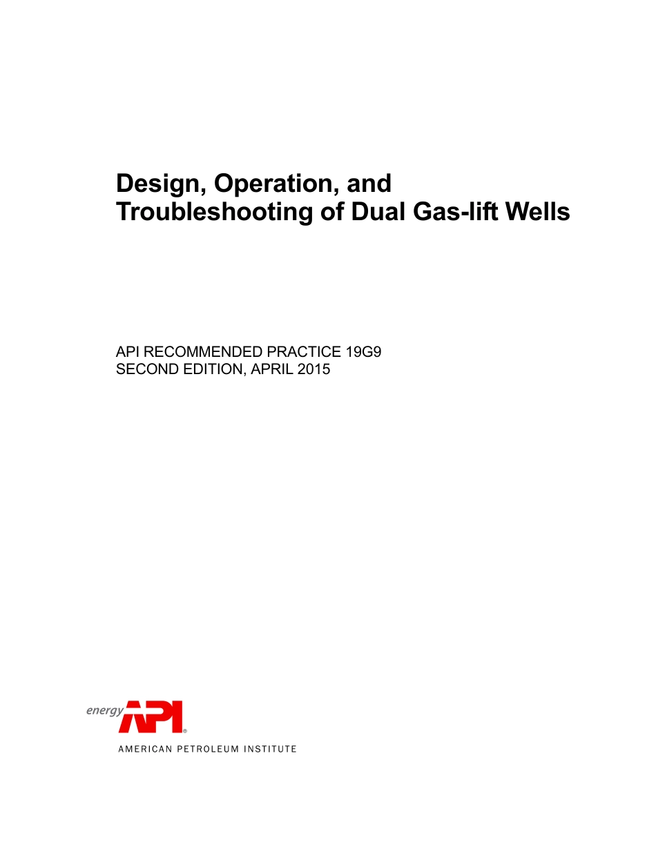API RP 19G9-2015.pdf_第1页