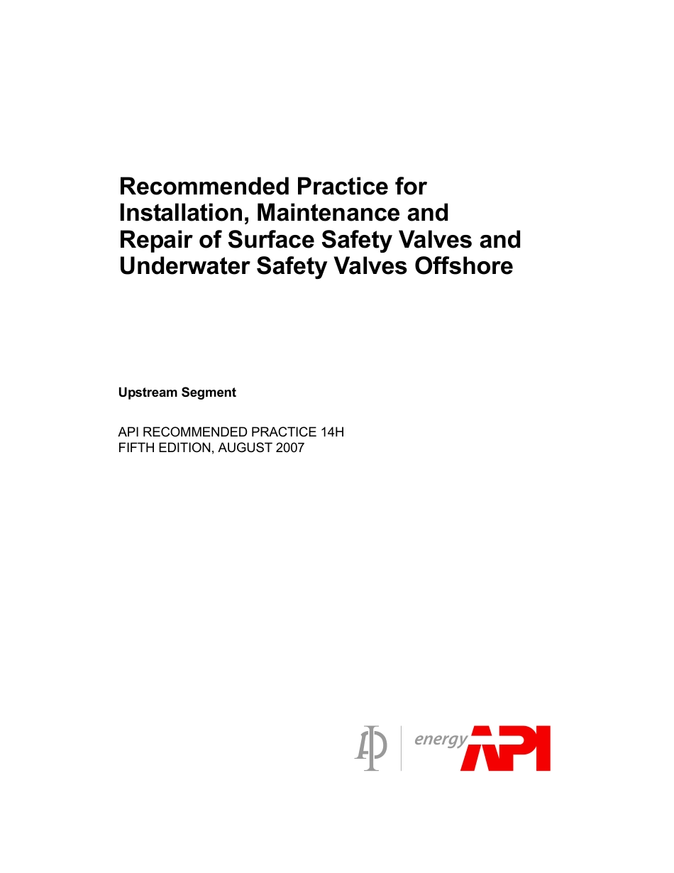 API RP 14H-2007.pdf_第3页