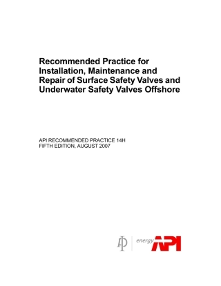 API RP 14H-2007.pdf