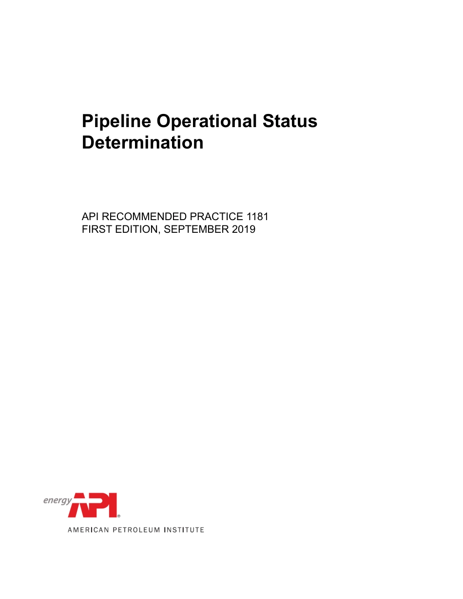 API RP 1181-2019.pdf_第1页