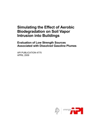 API Publ 4775-2009.pdf