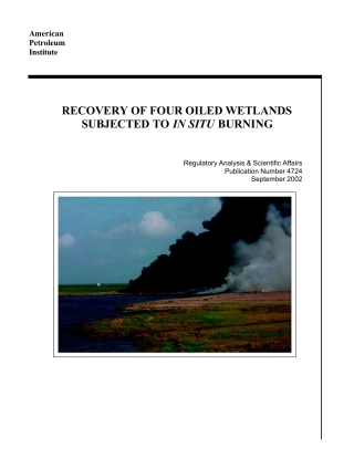 API Publ 4724-2002.pdf