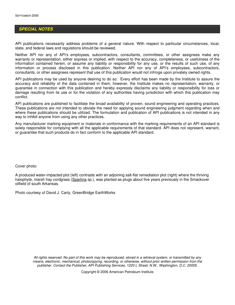 API Publ 4758-2006.pdf_第2页