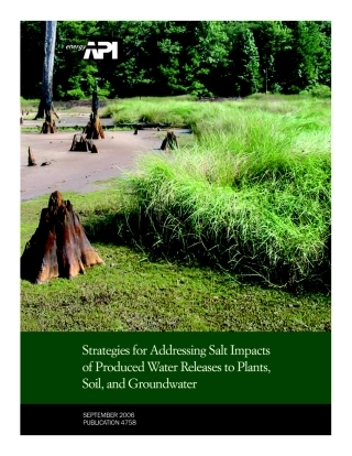 API Publ 4758-2006.pdf