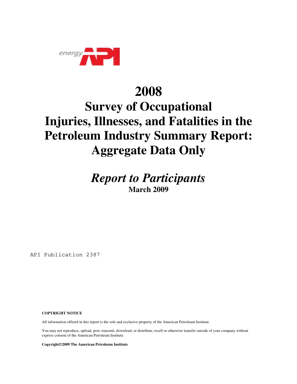 API Publ 2387-2009.pdf_第2页