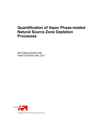 API Publ 4784-2017.pdf