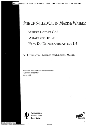 API Publ 4691-1999 scan.pdf