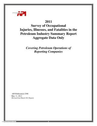 API Publ 2390-2012.pdf