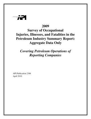 API Publ 2388-2010.pdf