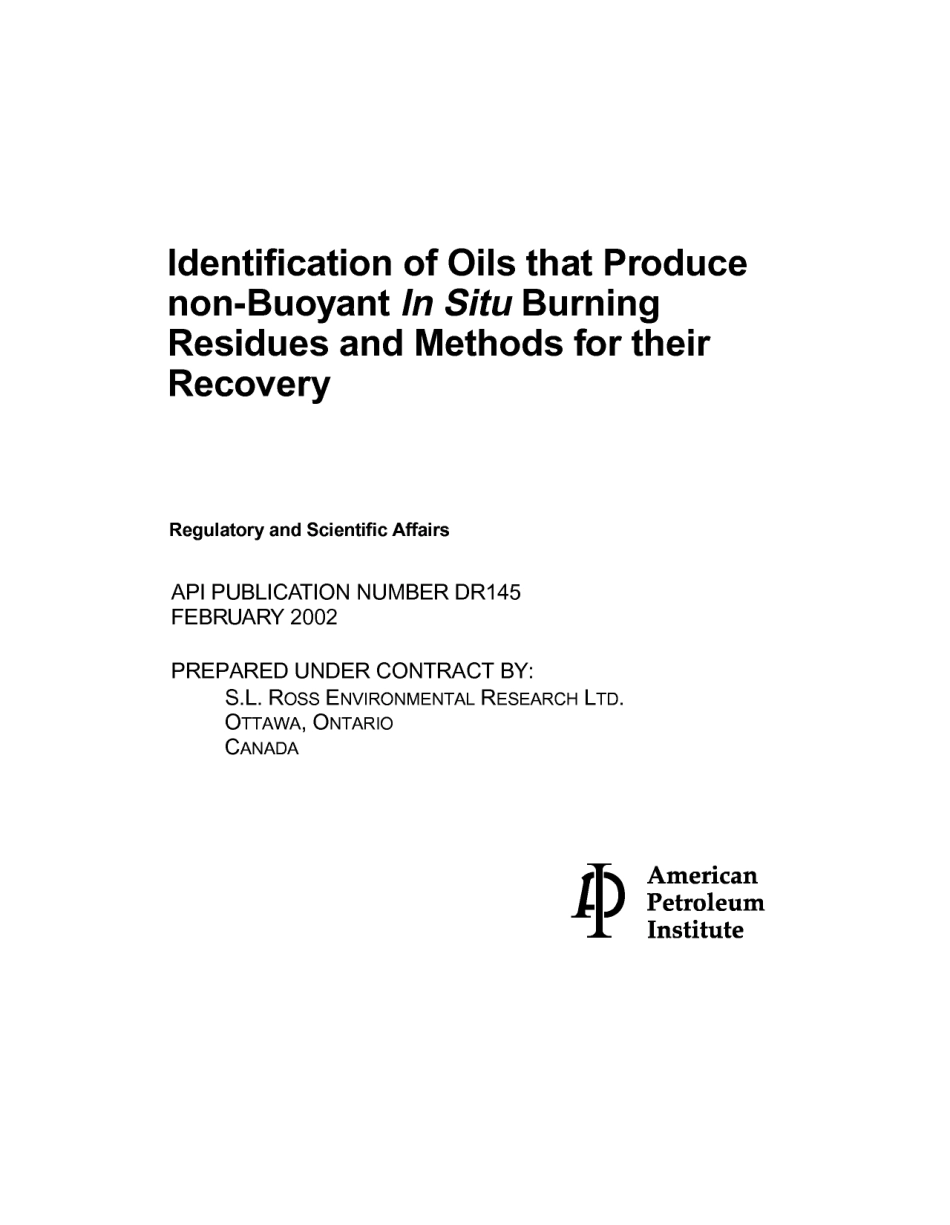 API DR 145-2002.pdf_第3页