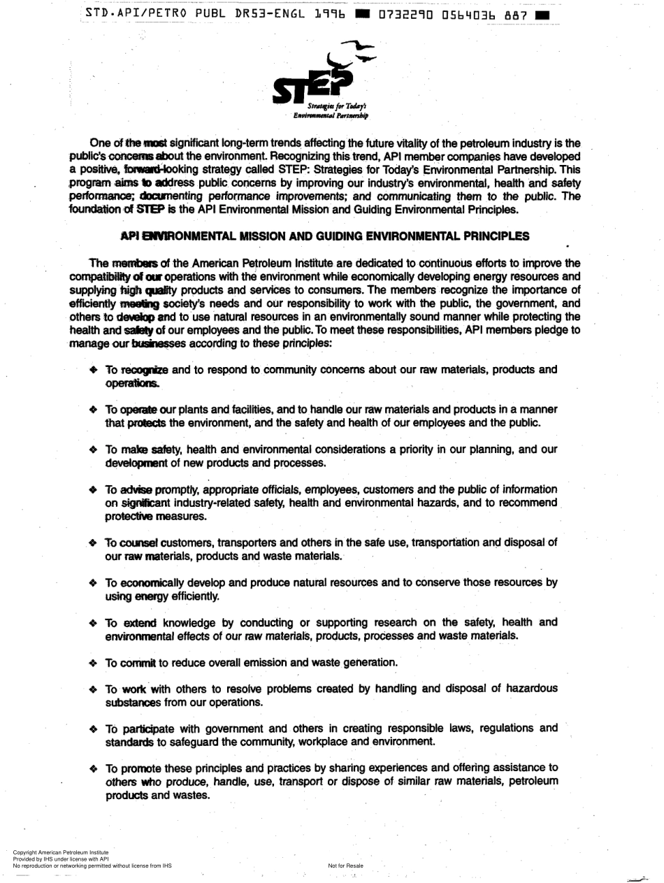 API DR 53-1996 scan.pdf_第2页