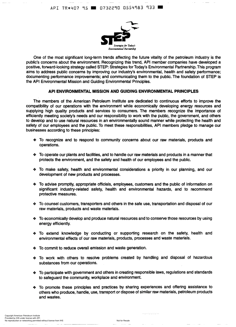 API TR 407-1995.pdf_第2页