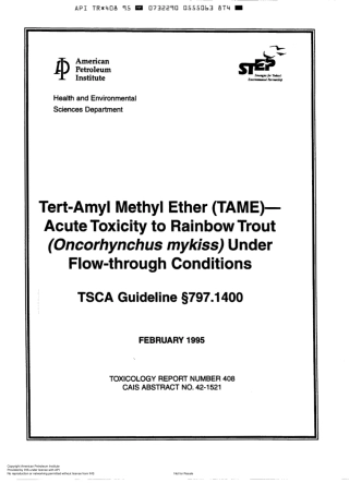 API TR 408-1995.pdf