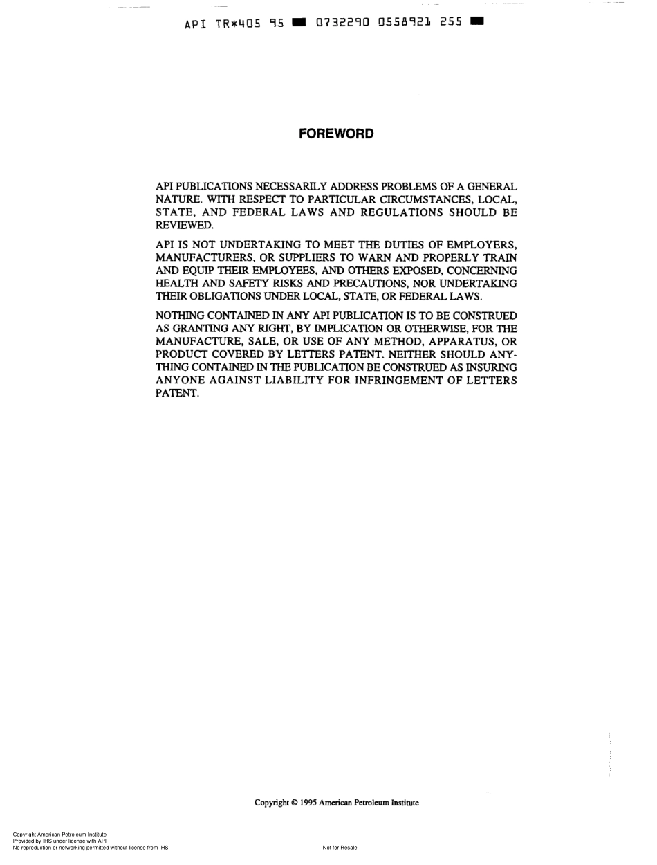 API TR 405-1995.pdf_第2页