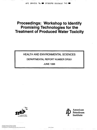 API DR 351-1996 scan.pdf