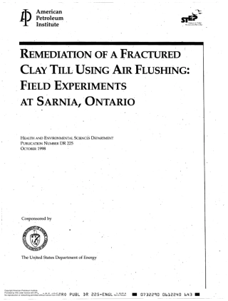 API DR 225-1998 scan.pdf