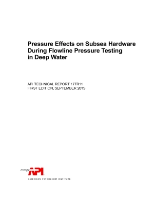 API TR 17TR11-2015.pdf