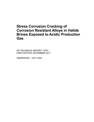 API TR 13TR1-2017 (2022).pdf