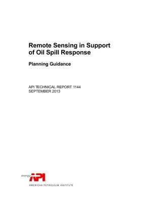 API TR 1144-2013.pdf