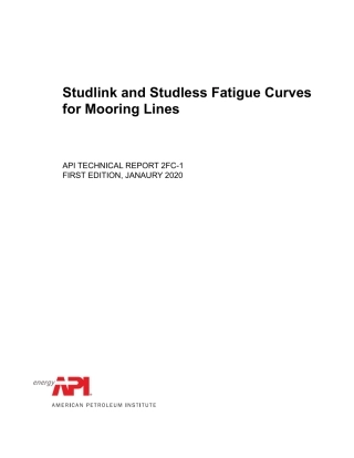 API TR 2FC-1-2020.pdf