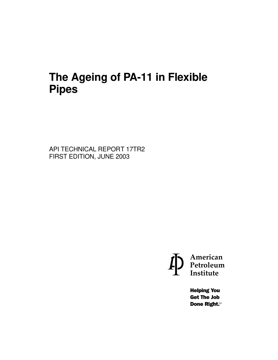 API TR 17TR2-2003.pdf_第1页