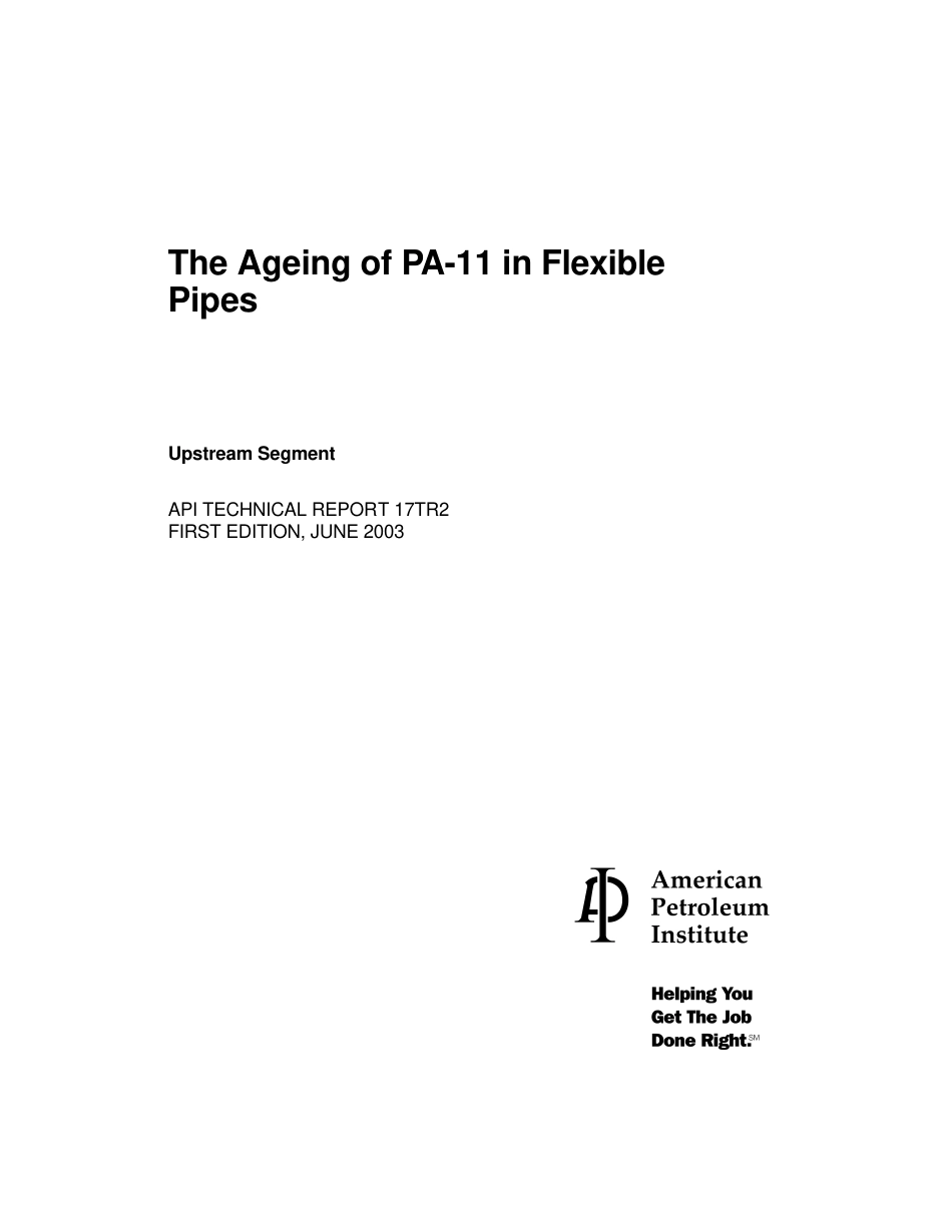 API TR 17TR2-2003.pdf_第3页