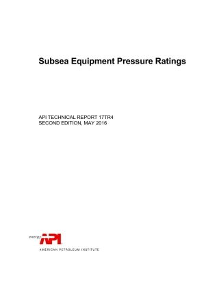 API TR 17TR4-2016.pdf