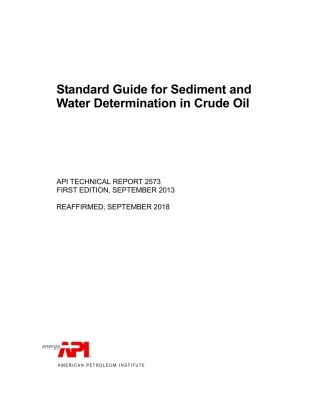 API TR 2573-2013 (2018).pdf