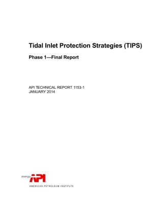 API TR 1153-1-2014.pdf