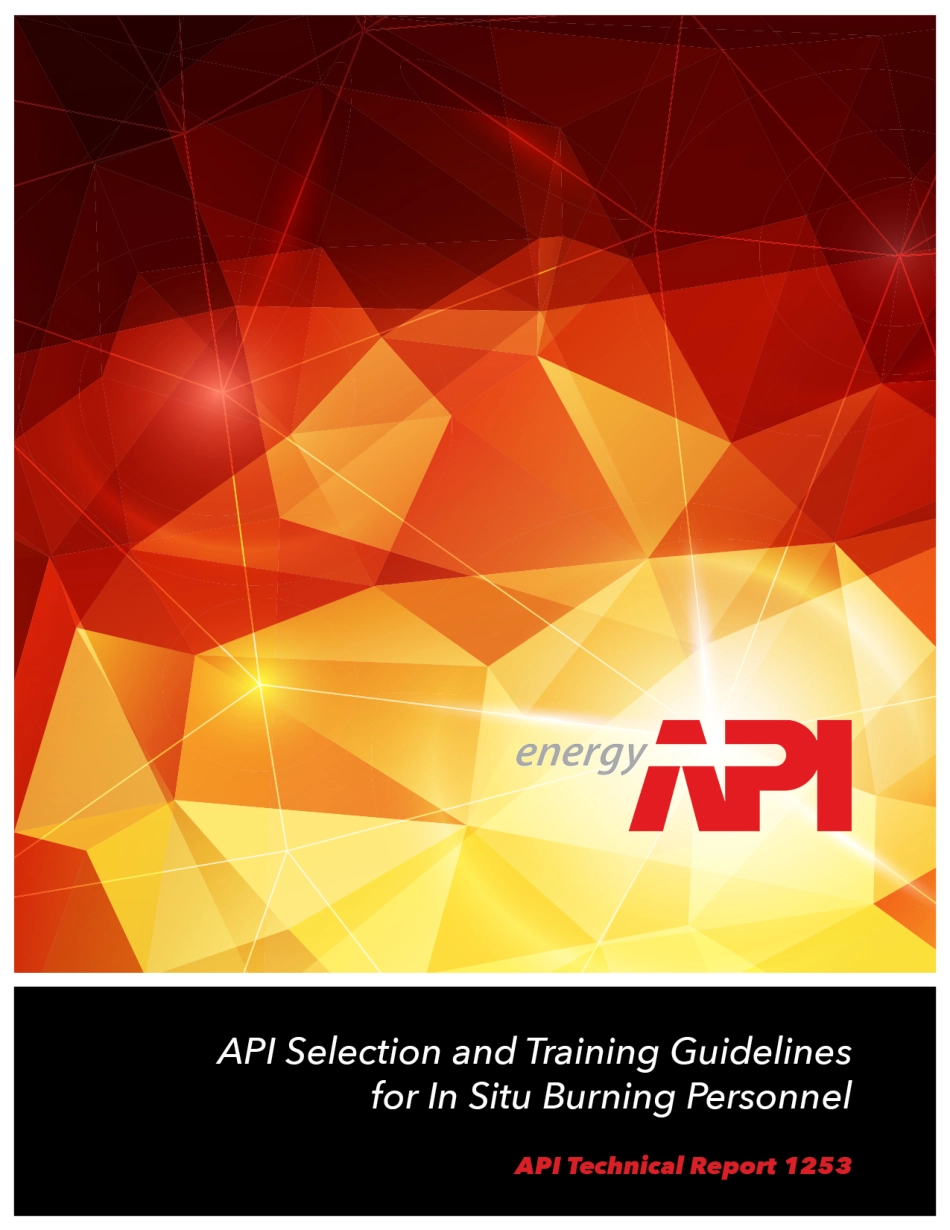 API TR 1253-2016.pdf_第1页